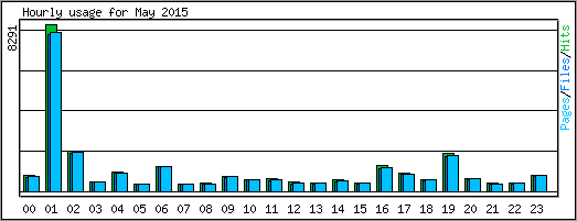 Hourly usage