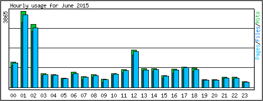 Hourly usage