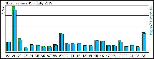 Hourly usage