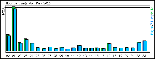 Hourly usage