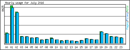 Hourly usage
