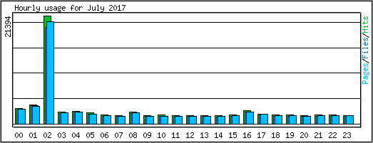 Hourly usage