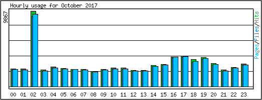 Hourly usage
