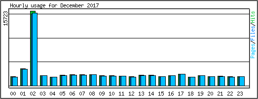 Hourly usage